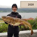 Appartement Kvernesfjorden Steinsgrenda