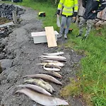 Kvernesfjorden Appartement