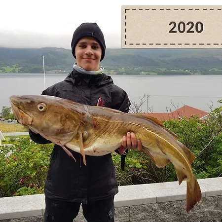 아파트 Kvernesfjorden Steinsgrenda