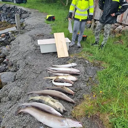 Kvernesfjorden 아파트
