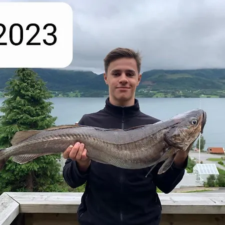 Apartmán Kvernesfjorden Steinsgrenda