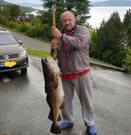 아파트 Kvernesfjorden