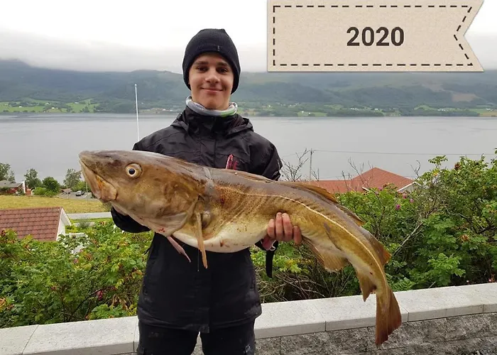 Apartmán Kvernesfjorden Steinsgrenda