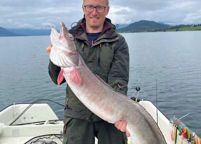 Kvernesfjorden Apartmán